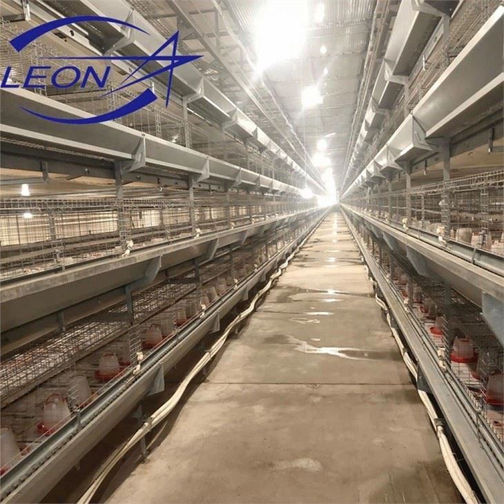 Automatic Battery Cage Poultry Farm Automatic Battery Cage Poultry Farm