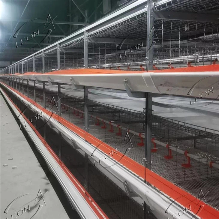 4 Tiers H Type Broiler Chicken Cage