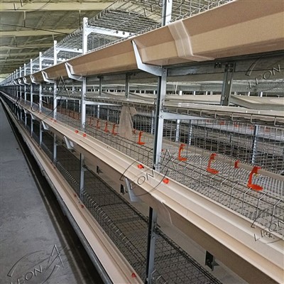Cușcă pentru pui broiler tip H cu 4 niveluri